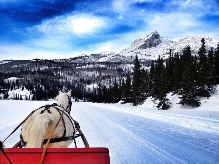 Horse-drawn sleigh traveling through a snow-covered meadow near Lake Tahoe with mountain scenery.