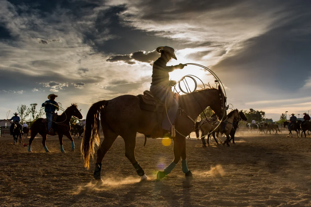 Reno Rodeo arena in Reno Nevada with riders competing during summer rodeo event