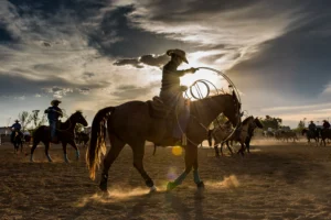 Reno Rodeo arena in Reno Nevada with riders competing during summer rodeo event