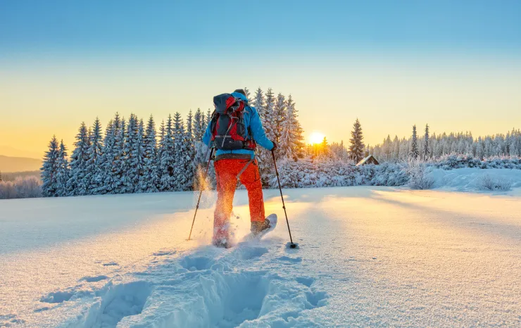 Snowshoers traveling along a snow-covered trail surrounded by pine trees in the Reno Tahoe region.